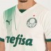 Camisa Alternativa Masculina do Palmeiras 2023