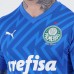 Camisa Home de Goleiro Masculino do Palmeiras 2024 Azul