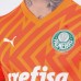 Camisa Terceiro Goleiro Masculino do Palmeiras 2024